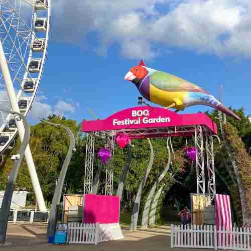Brisbane Festival